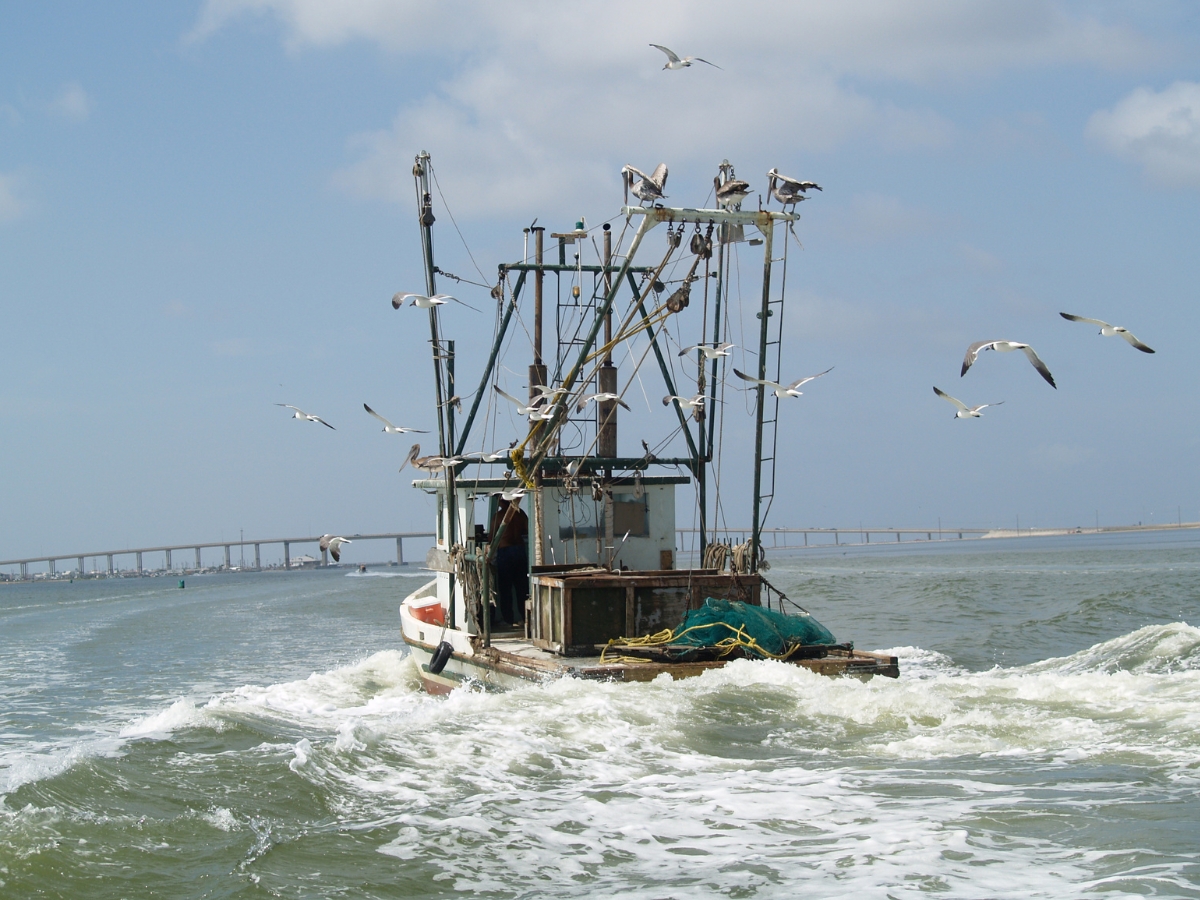 Fishing Boat in - Texas View