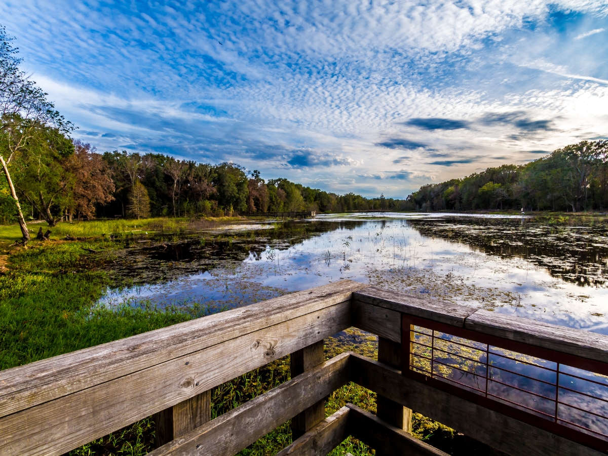 Fishing Deck on Creekfield Lake - Texas View