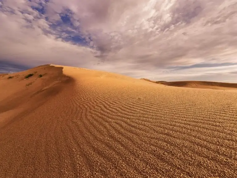 Monahans Sandhills State Park sand hill