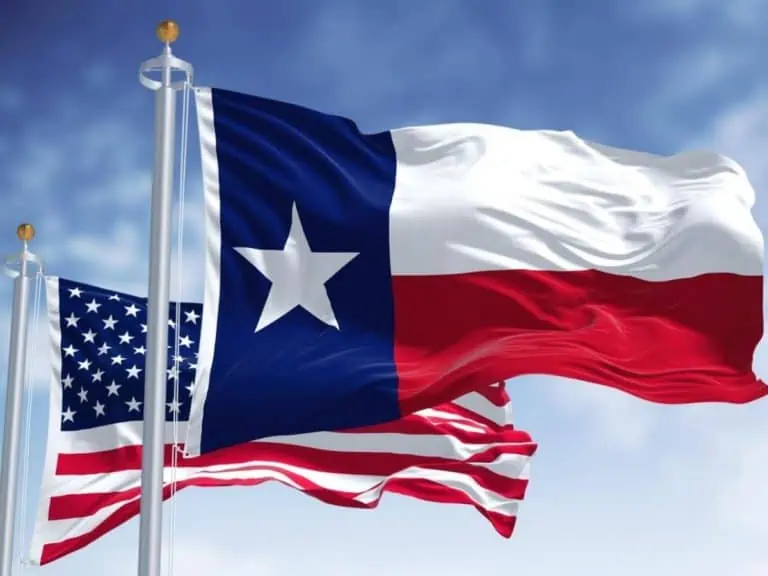 The Texas state flag waving along with the national flag of the United States of America - Texas View