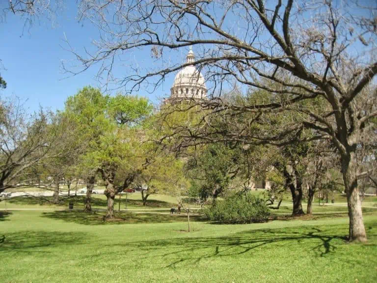 Capitol seen from a park in Austin Texas. - Texas View
