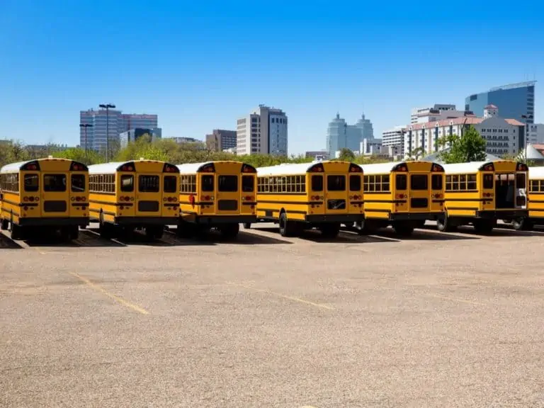 School buses in Houston Texas. - Texas View