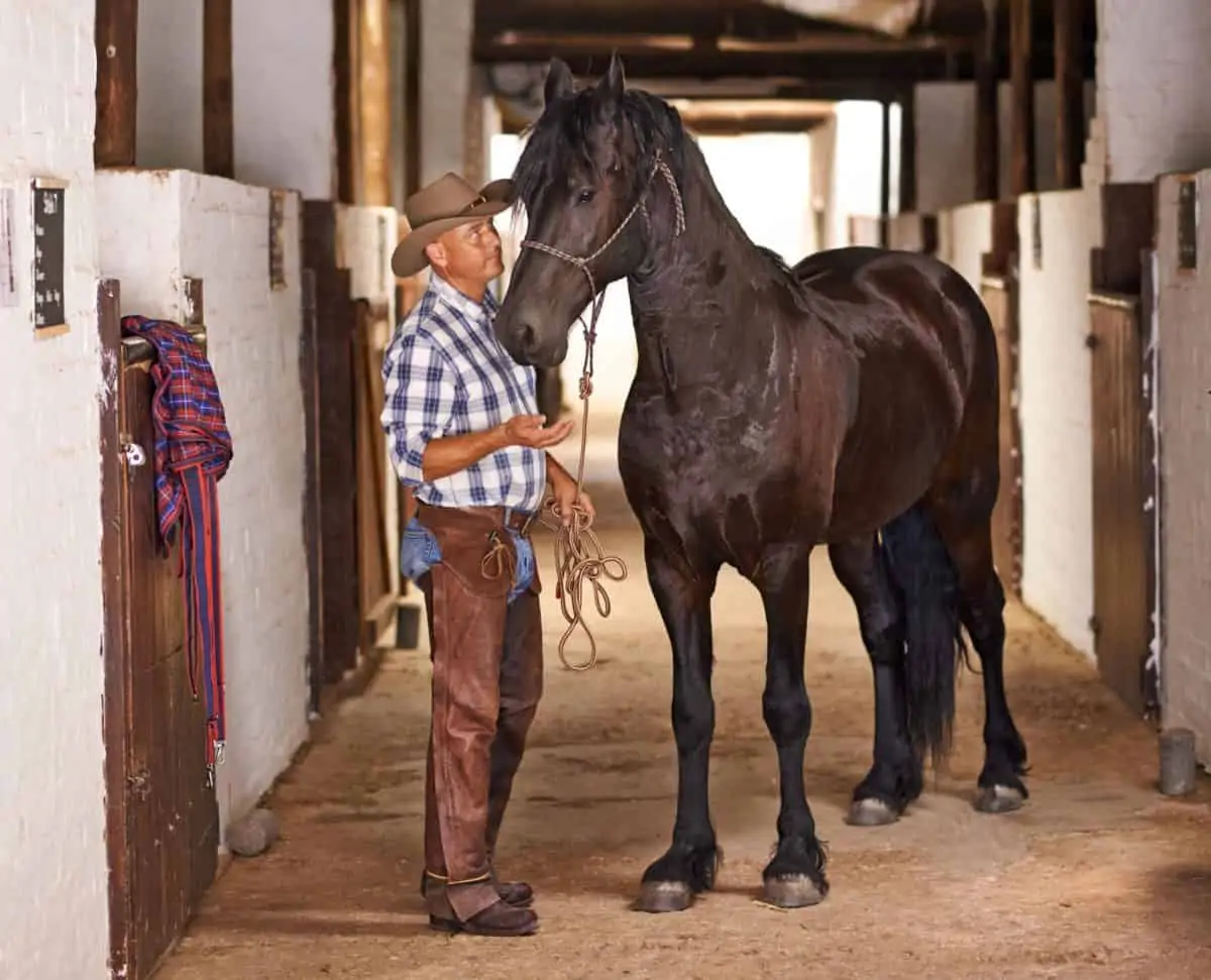 Texas man wiht a horse in stables - Texas View