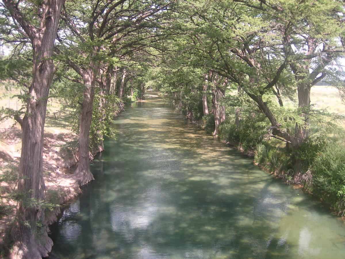Medina River of Texas - Texas View
