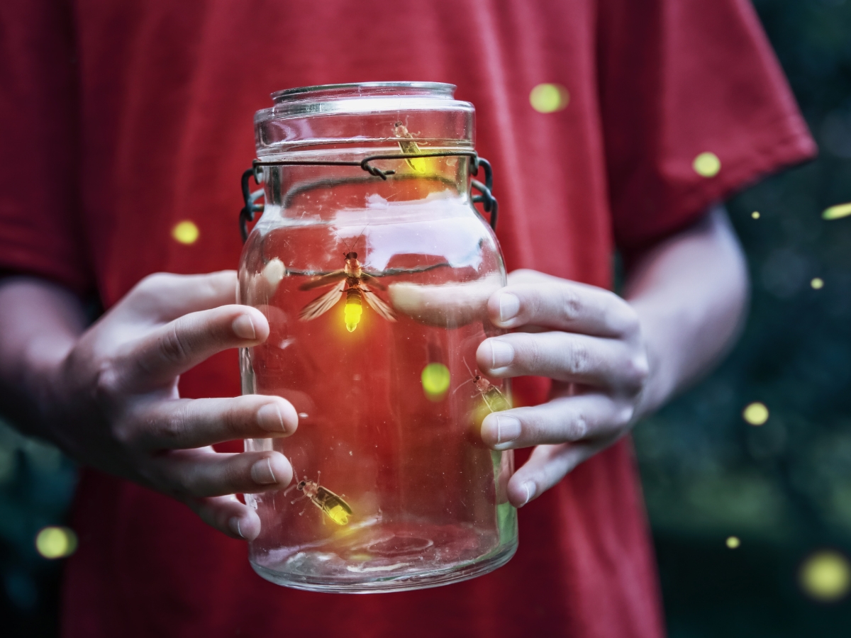 Fireflies in a Jar - Texas News, Places, Food, Recreation, and Life.