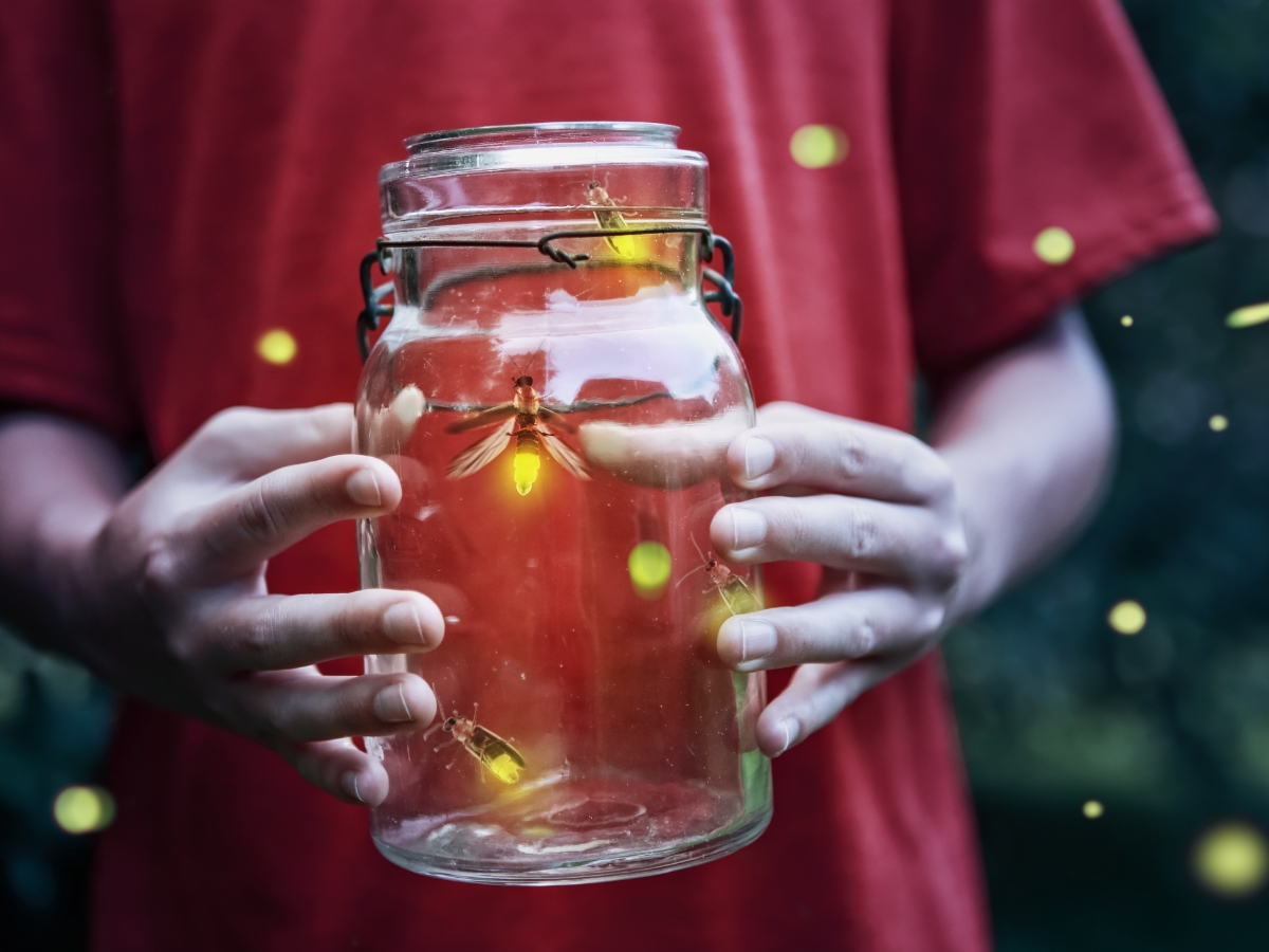 Fireflies in a Jar - Texas View