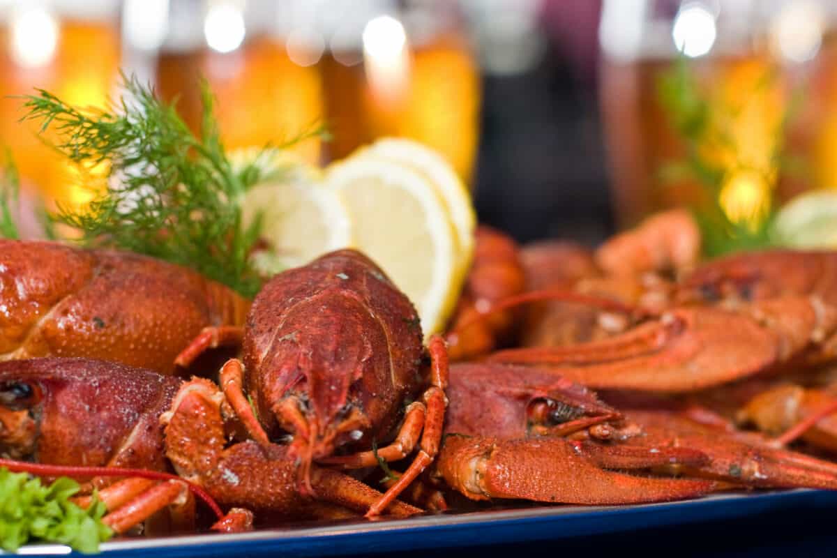 Food series fresh boiled crawfish with beer. - Texas View