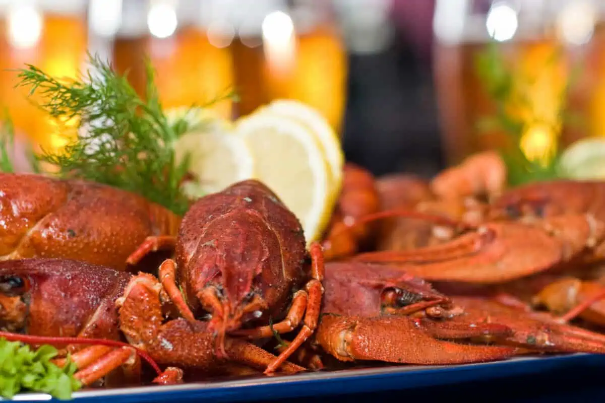 Food series fresh boiled crawfish with beer. - Texas View