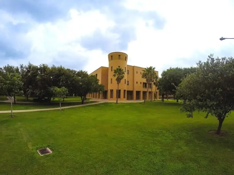 UTRGV Library Edinburg Campus. - Texas View