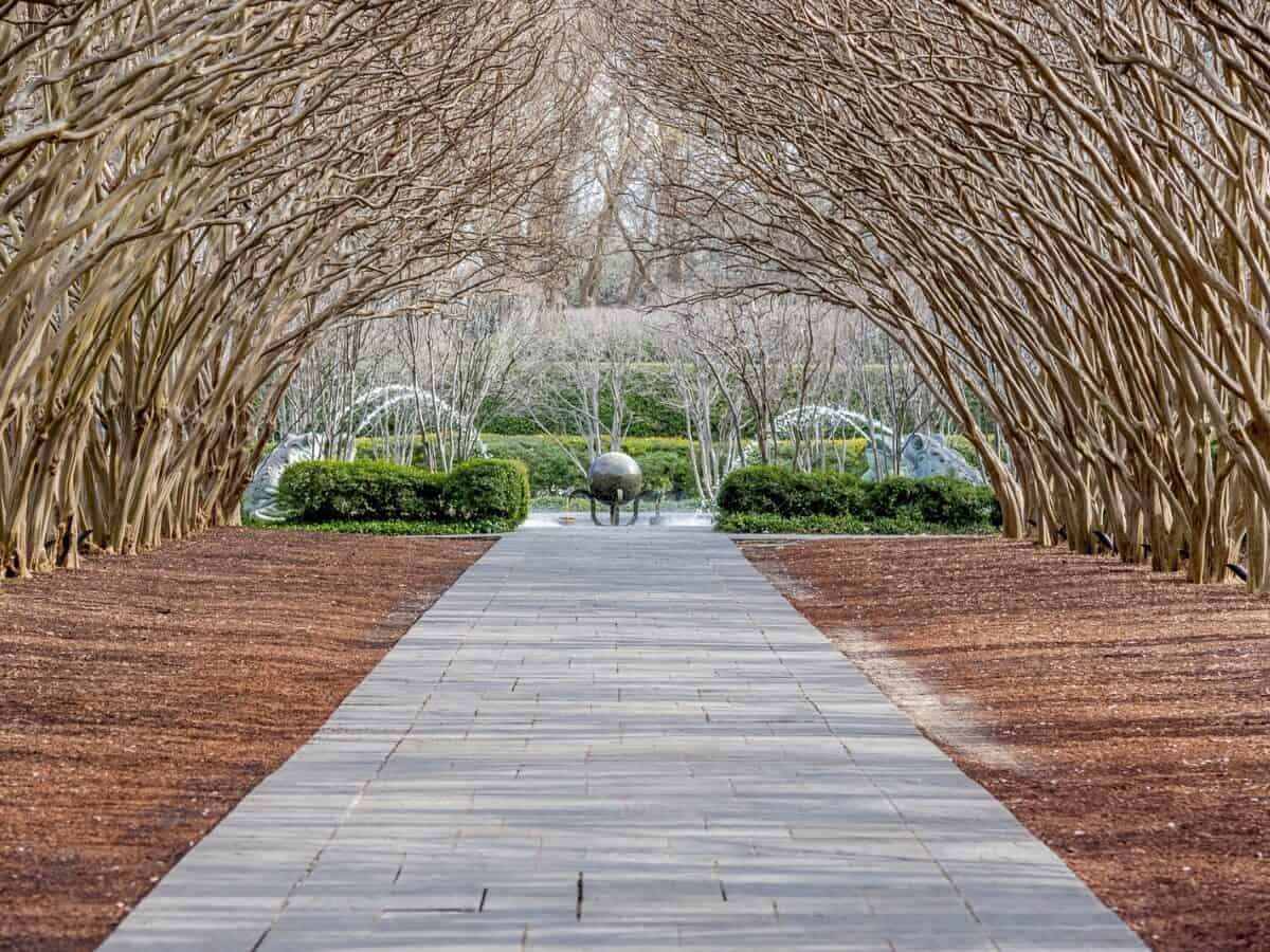 A beautiful shot of the natural arch in the Dallas Arboretum and Natural Gardens. - Texas View