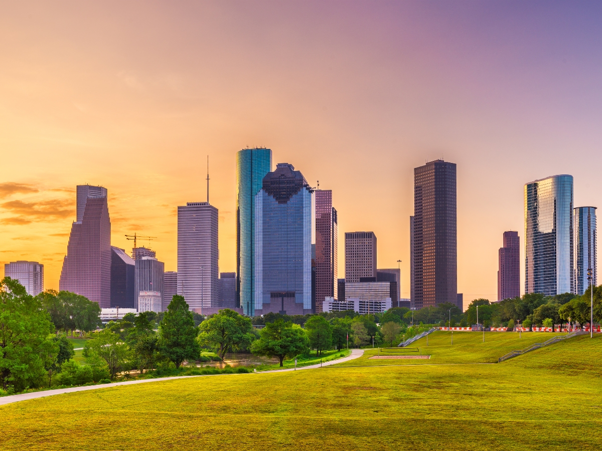 Houston Texas USA Skyline 1 - Texas View