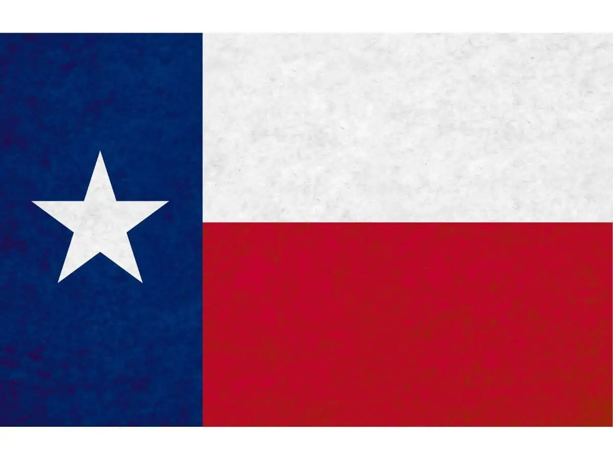 Texas Flag - Texas View