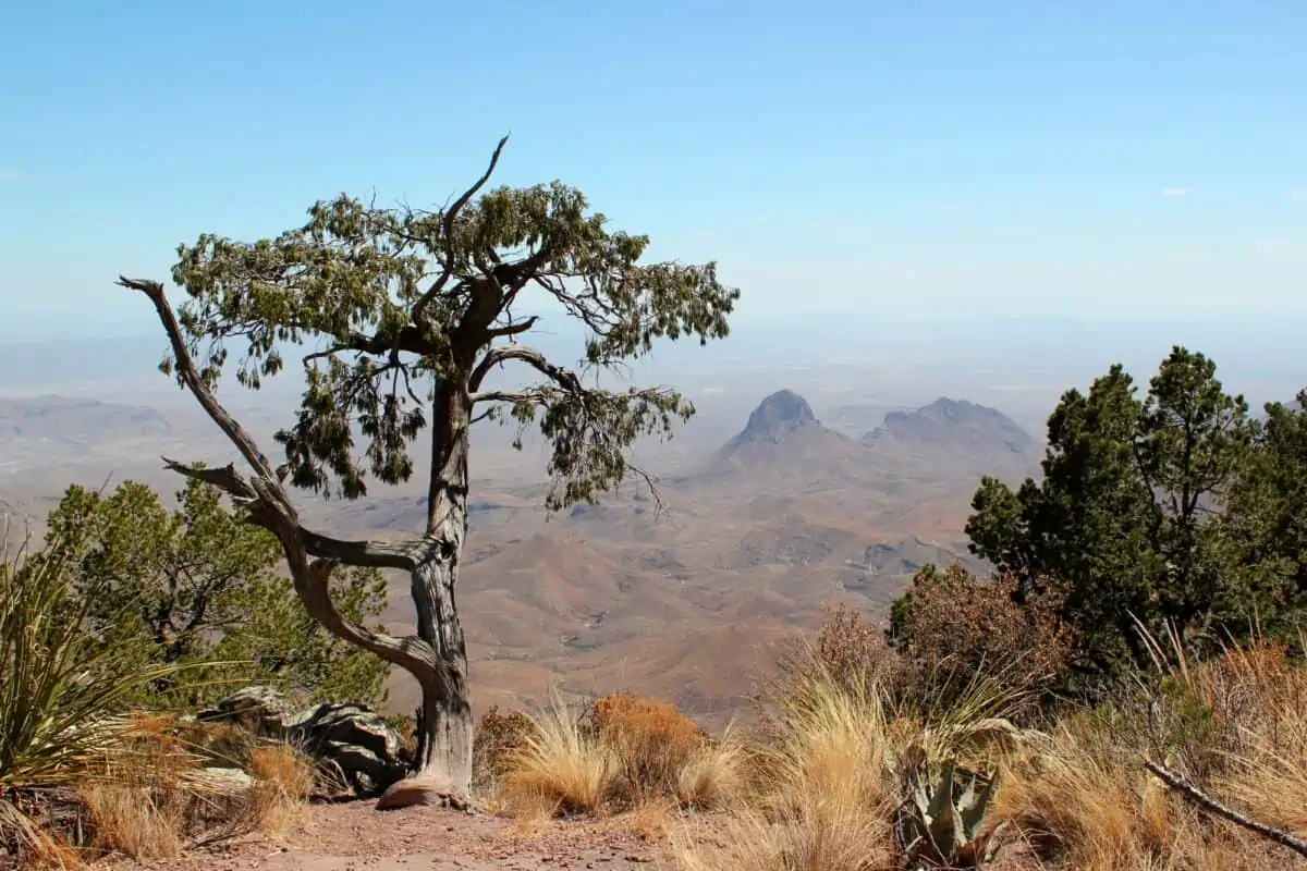 Beautiful view from South Rim in Big Bend Nationalpark - Texas View
