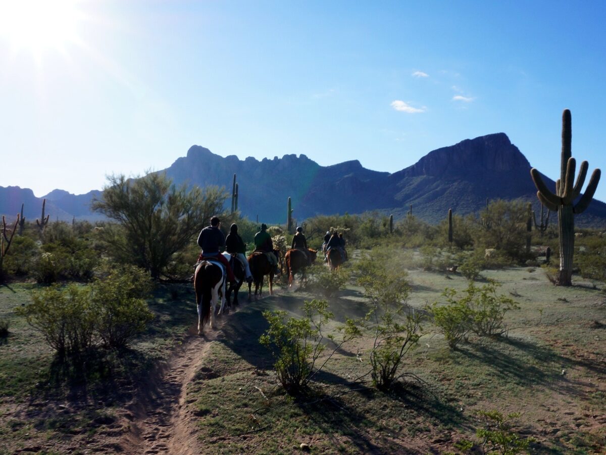 Arizona Horse Riding Adventures. - Texas News, Places, Food, Recreation, And Life.