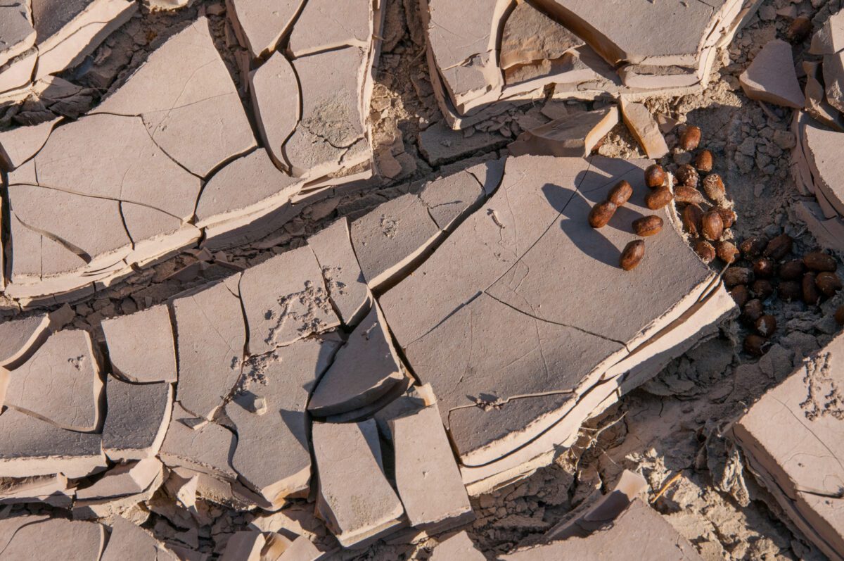 Dried Mud In Texas. Santa Elena Canyon And Rio Grande in Big Bend National Park. - Texas View