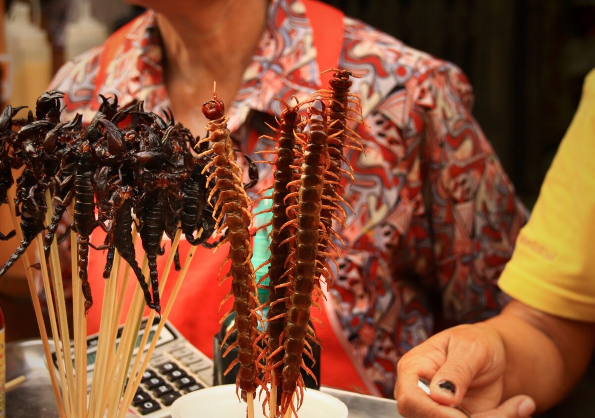 Fried centipedes and scorpions exotic and traditional street food that shows the culture and cuisine of Thailand. - Texas View