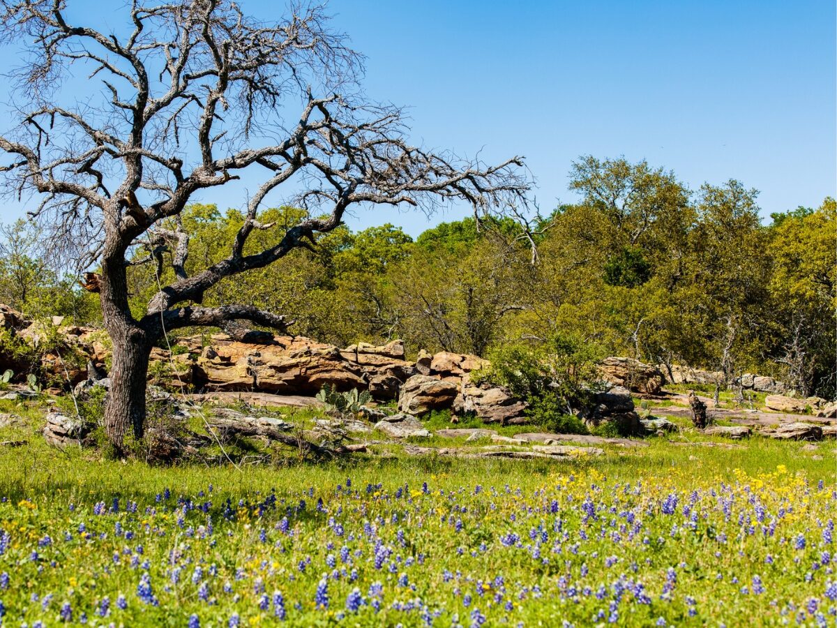 Texas Hill Country - Texas View