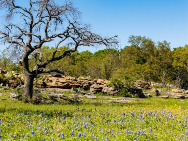 Texas Hill Country (Amazing Nature)