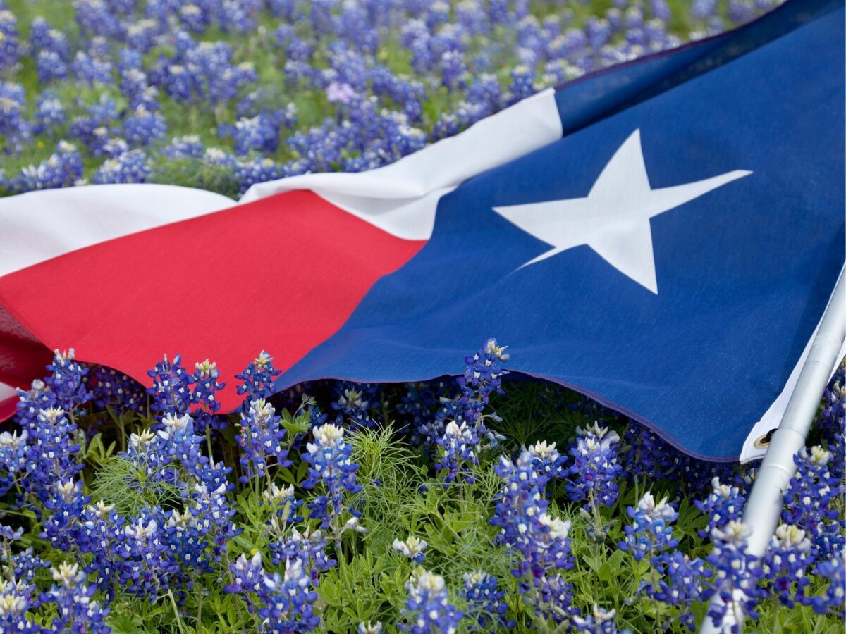 Texas flag among bluebonnet flowers on bright spring day. - Texas News, Places, Food, Recreation, and Life.