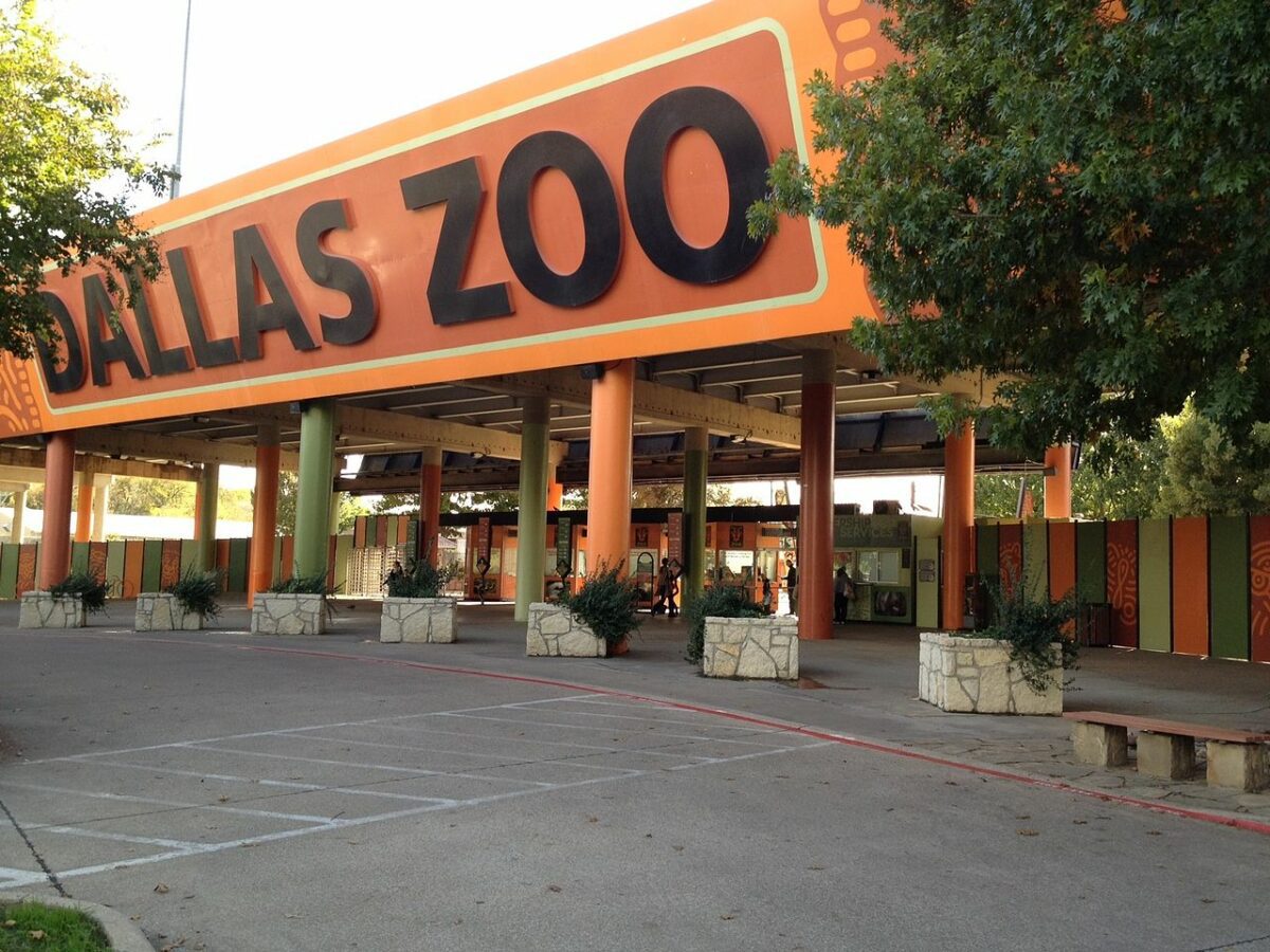 Dallas Zoo Entrance - Texas View