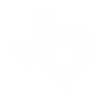 Texas View logo. White Texas state outline with a longhorn and star.