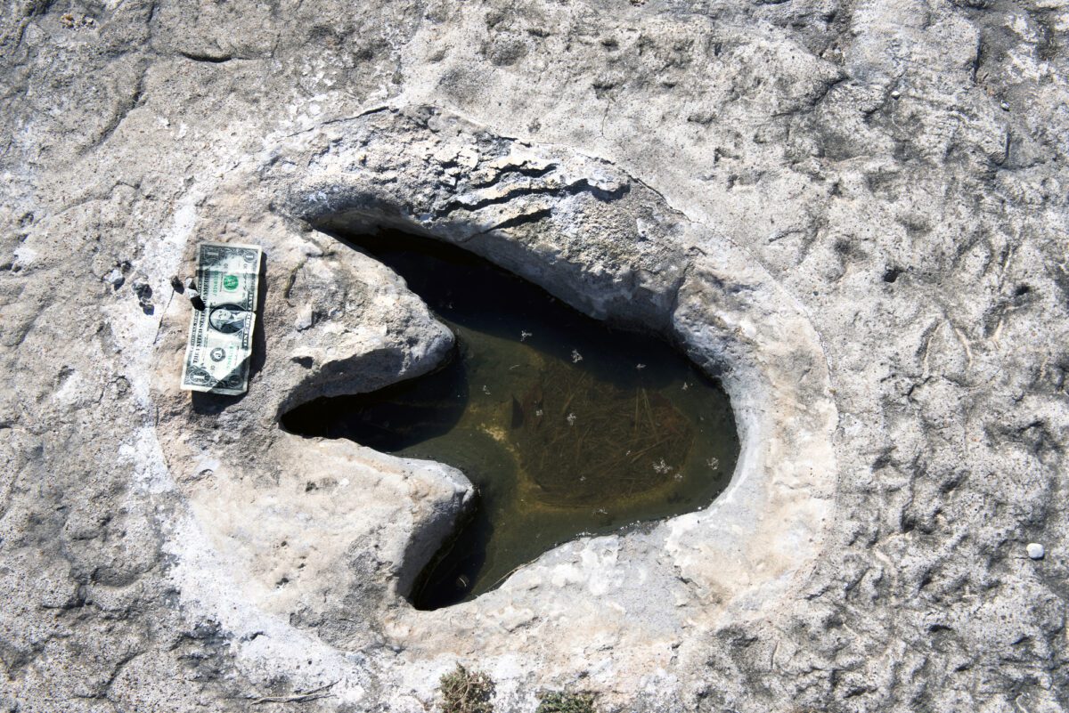 Dinosaur Tracks In Dinosaur Valley State Park - Texas News, Places, Food, Recreation, And Life.