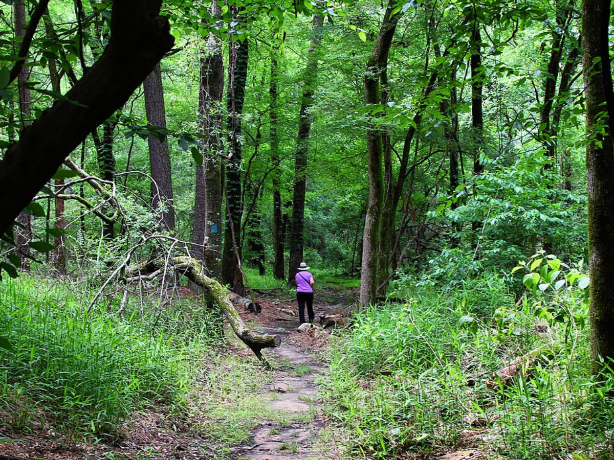 Atlanta State Park Queen City - Texas News, Places, Food, Recreation, and Life.