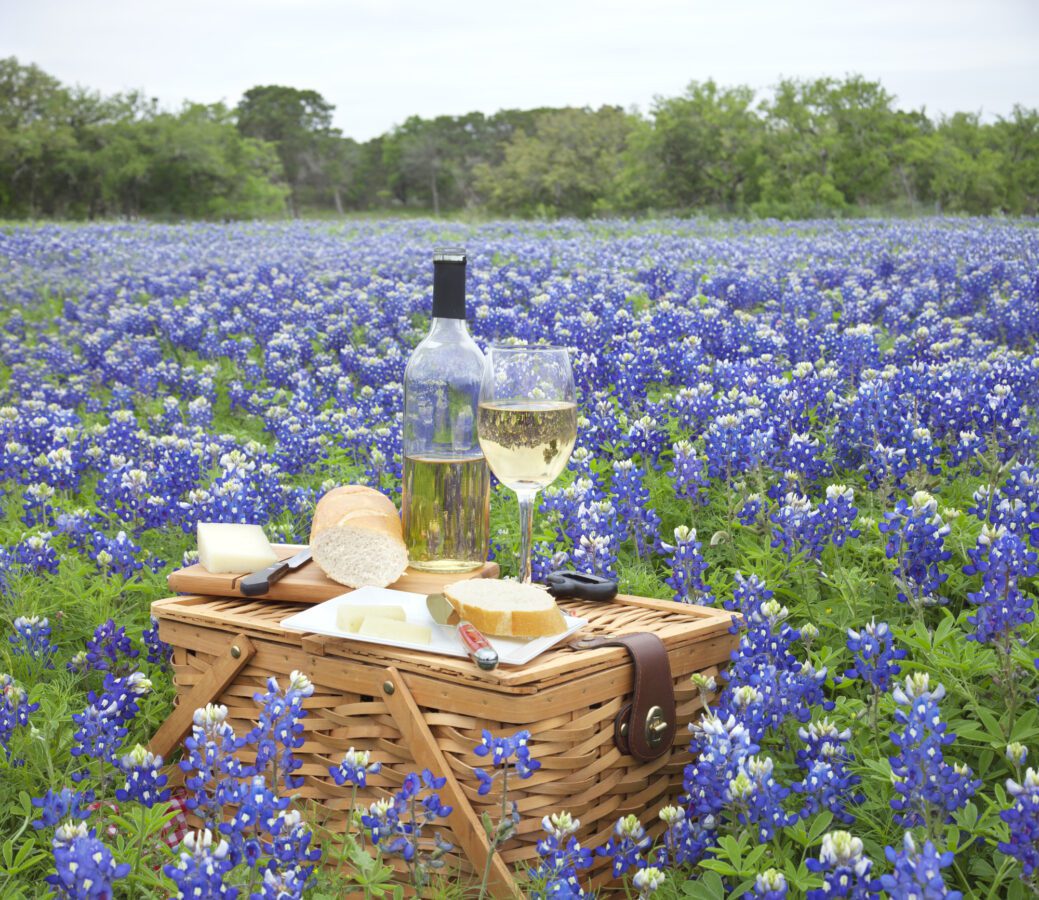 Picnic basket with wine cheese and bread in a Texas Hill Country - Texas View