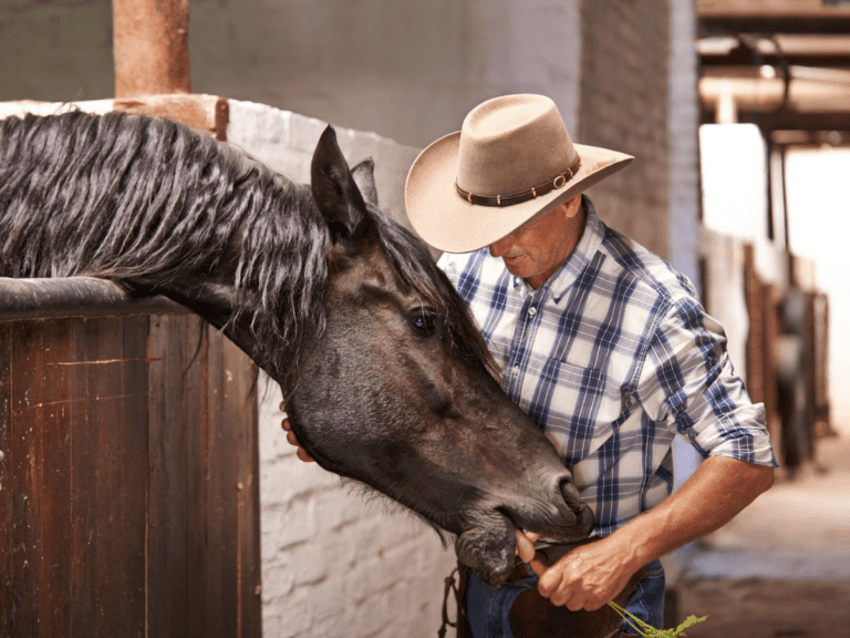 Famous ranches in Texas