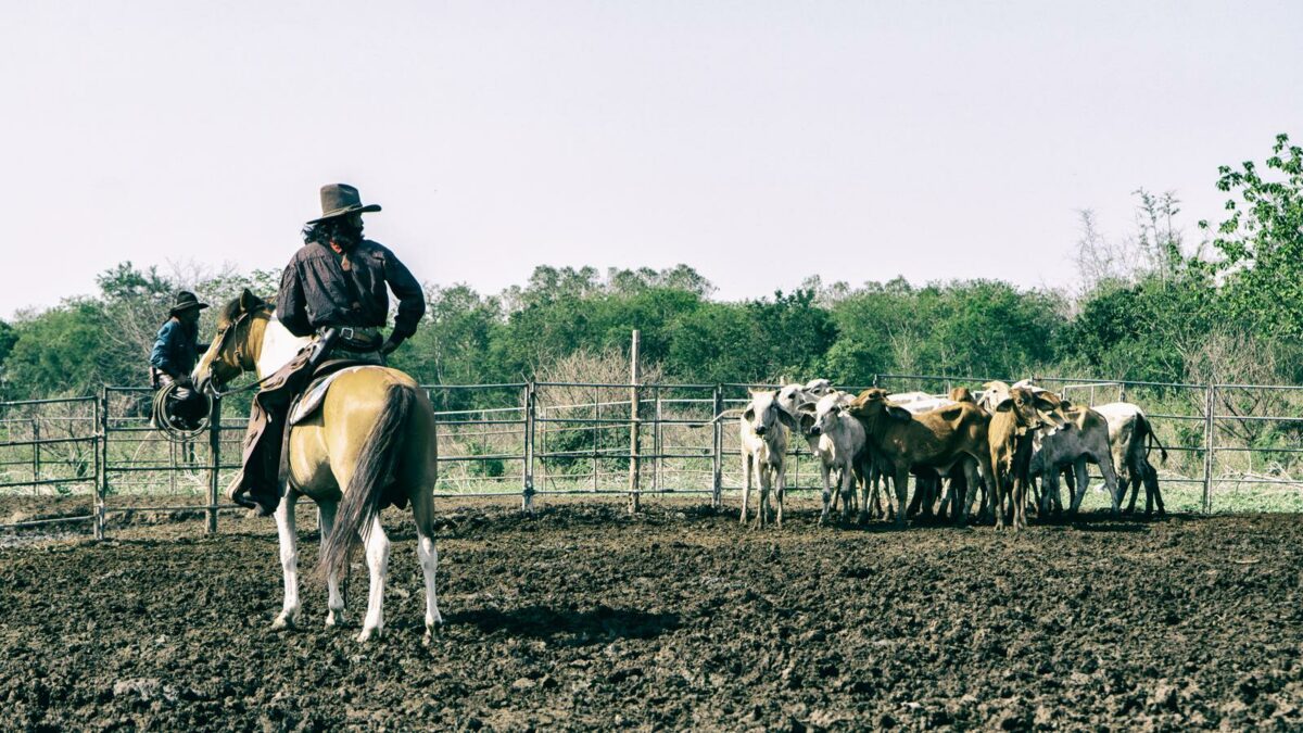 Hundreds of cowboys and farmhands are need to run these enormous ranches - Texas View