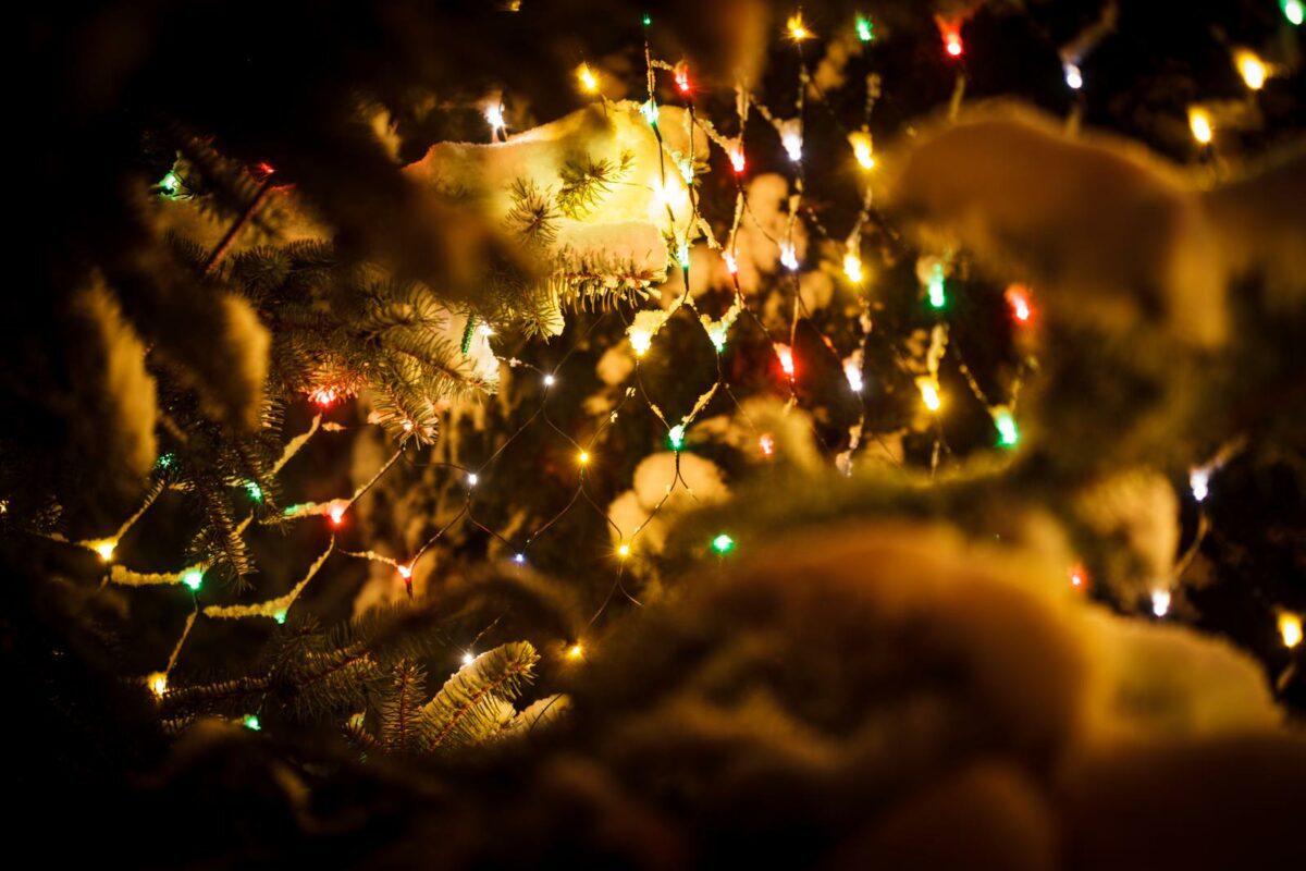 Part of christmas fir tree under the snow outdoors with lights - Texas View