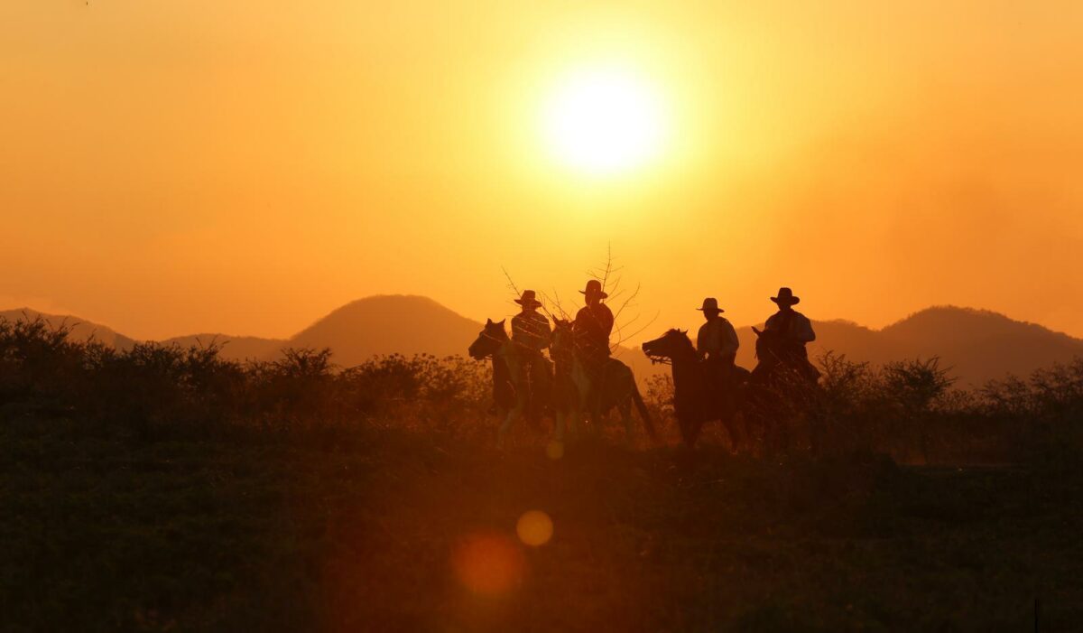 The silhouette of cowboys under the fading Texas sun - Texas View