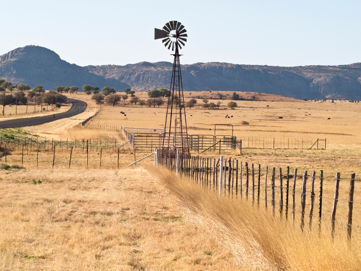 West Texas Ranch Windmill - Texas View