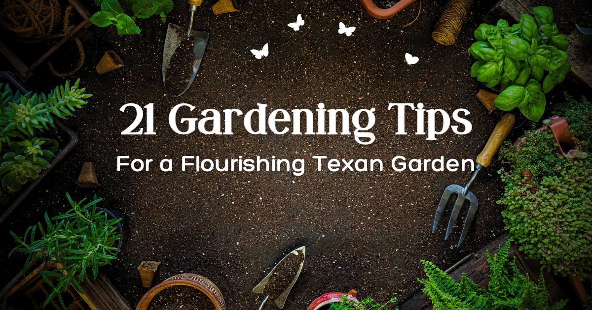 21 gardening tip for gardens in - Texas View