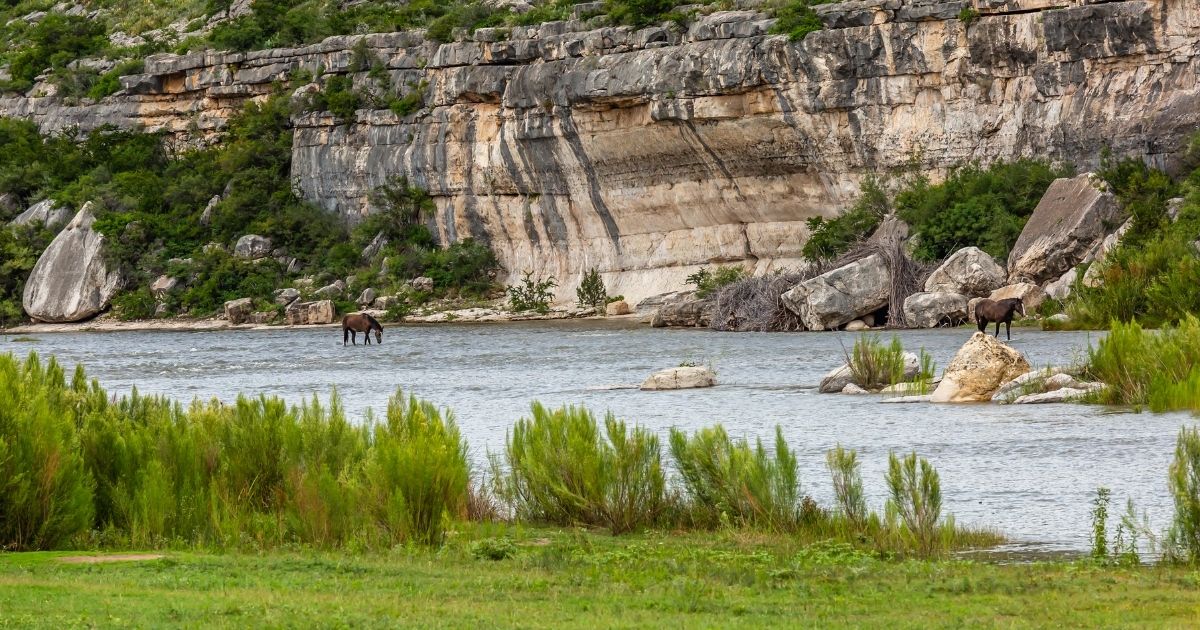 Pecos River Horses - Texas View