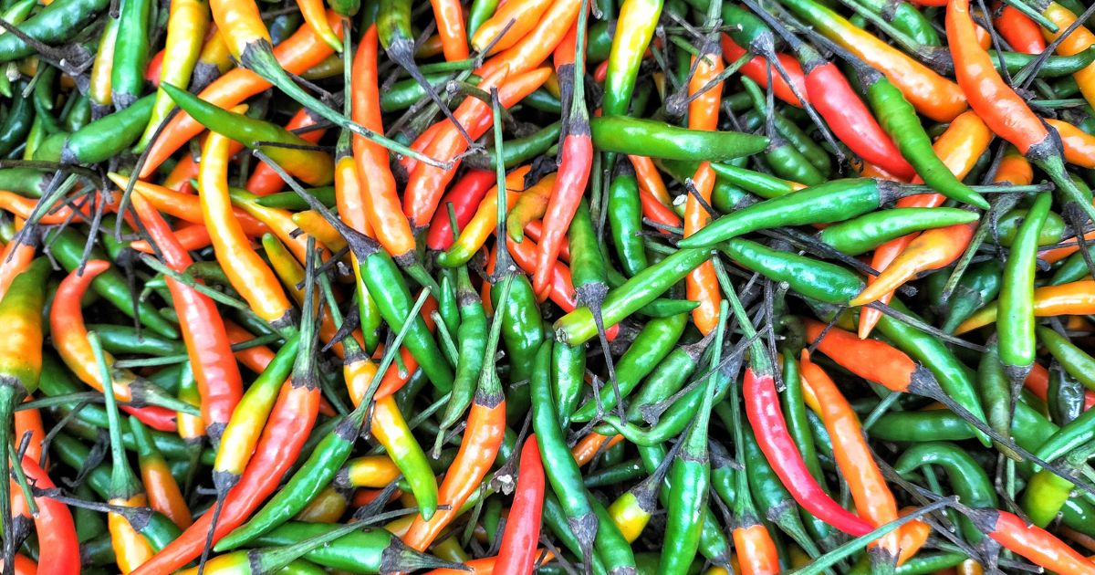 chillies - Texas View