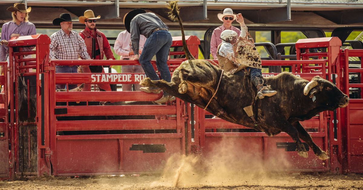Bull riding rodeo - Texas View