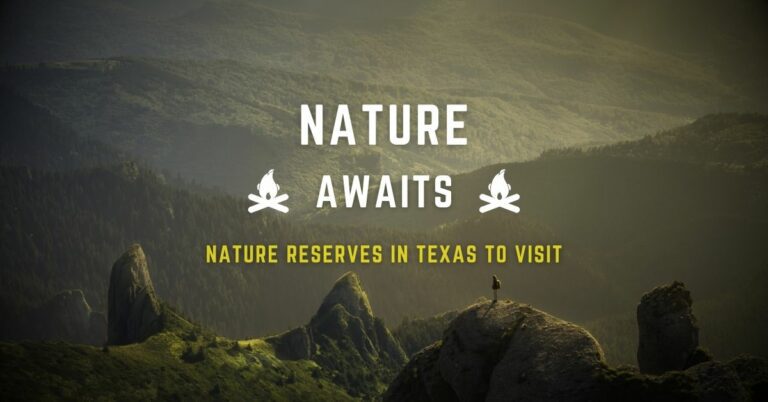 Nature in Texas - Texas View