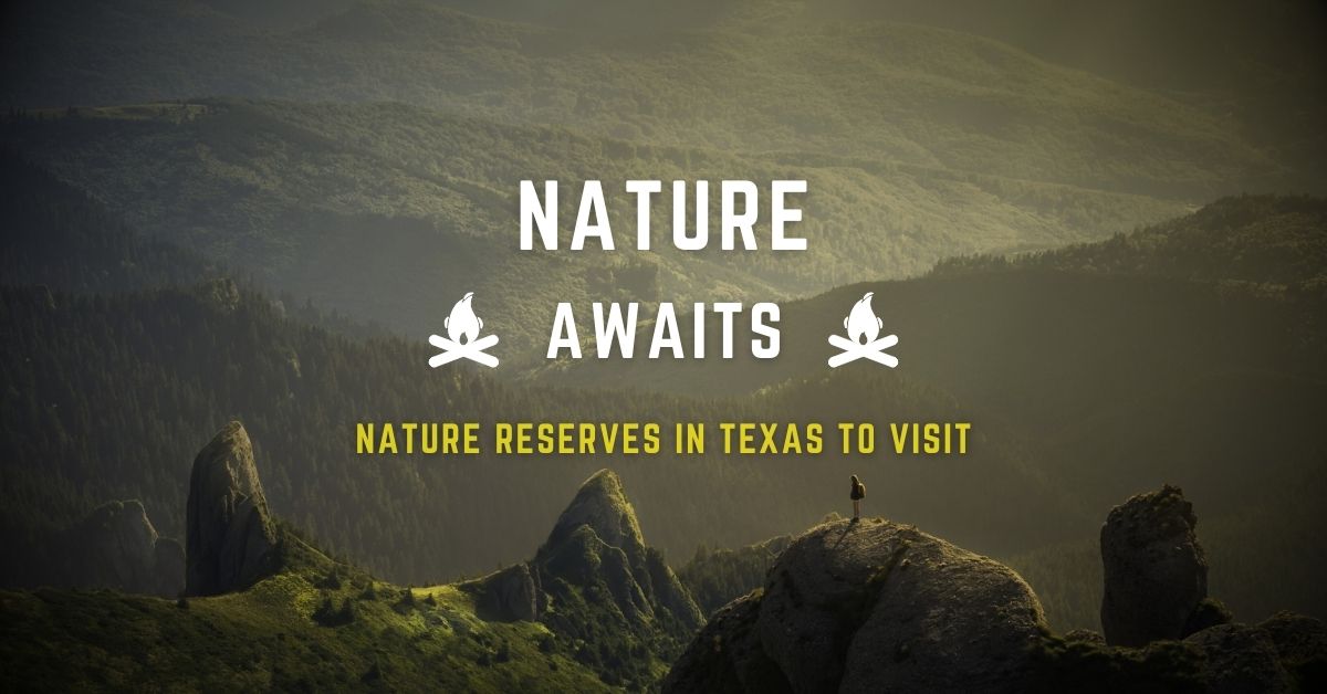 Nature in - Texas View