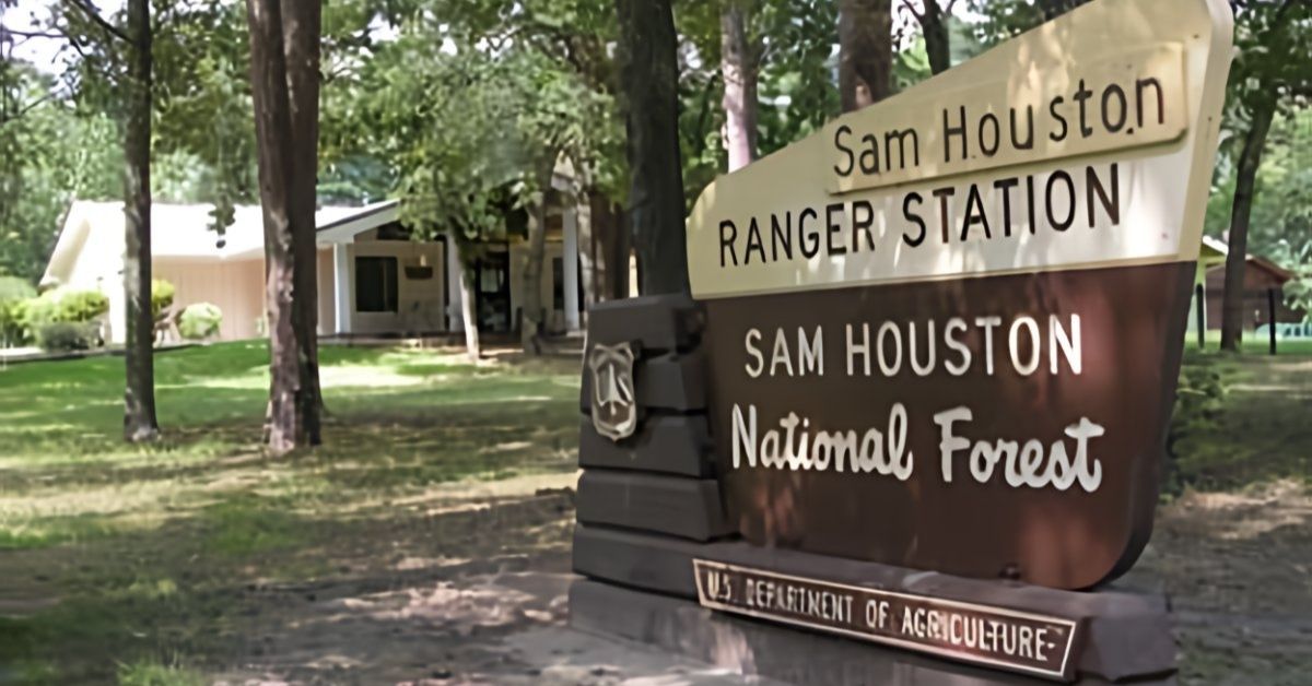 Sam Houston National Forest Trails - Texas View