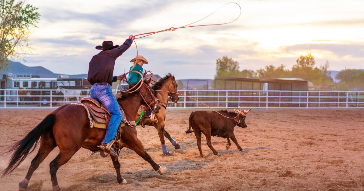 Team roping rodeo action - Texas View