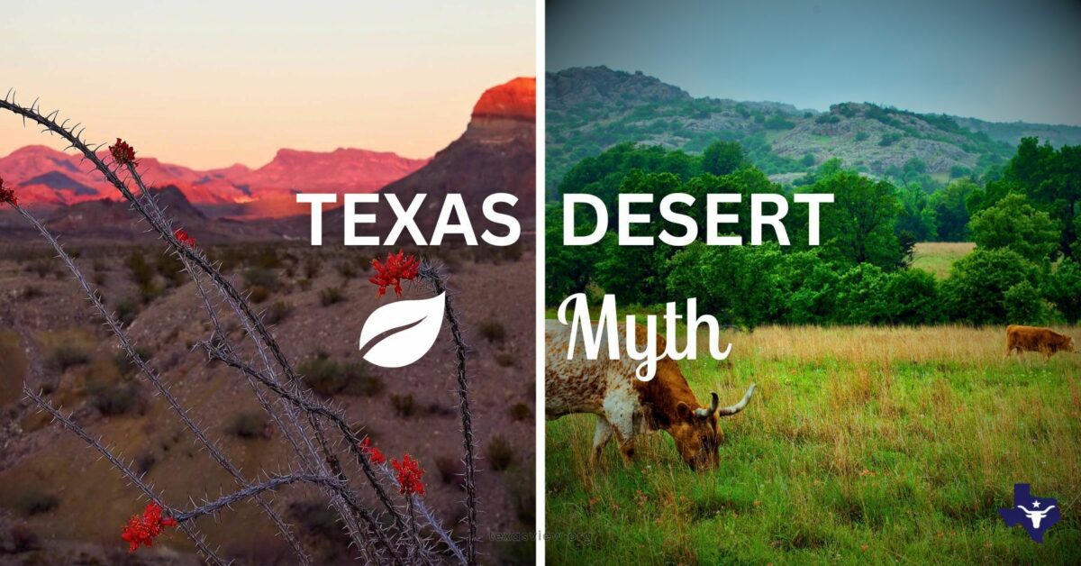 Texas Desert Myth - Texas View