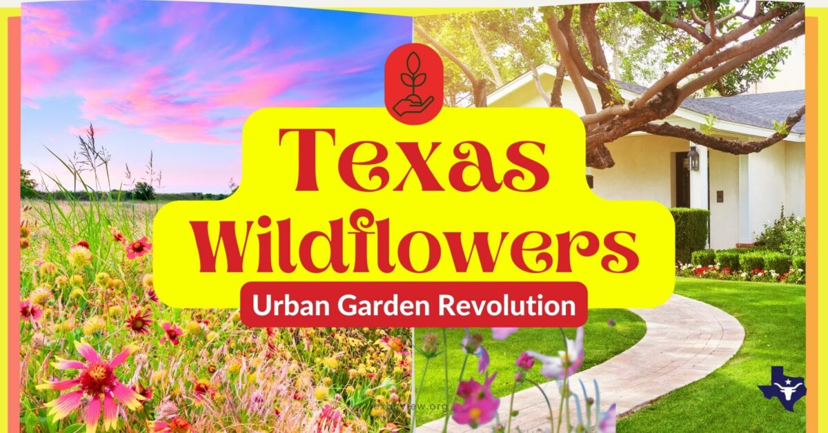 Texas Wildflowers urban design 1 - Texas View