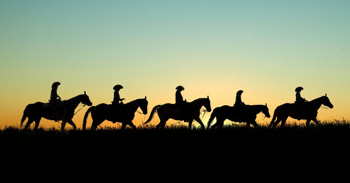 cowboys - Texas View