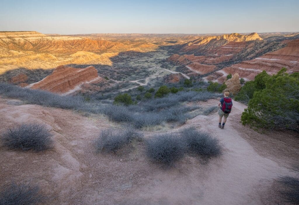Panoramic view of red rock canyons with hiking trails and sparse desert vegetation under a clear sky during golden hour.