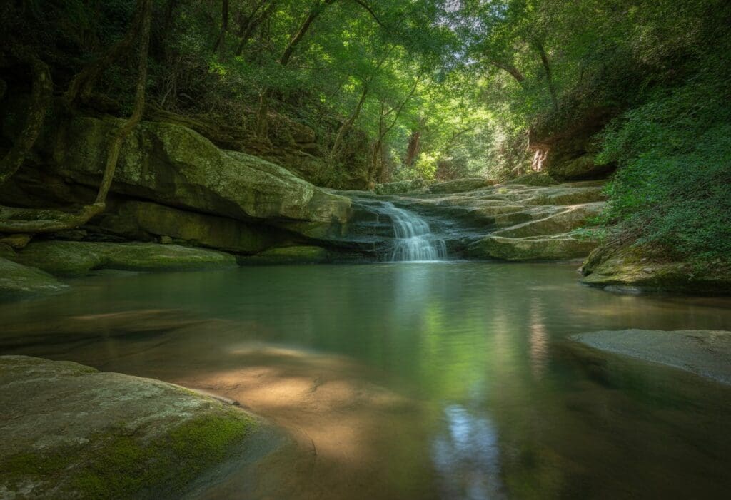 A peaceful waterfall flowing over rocks into a clear pool surrounded by green trees and plants in a forest.