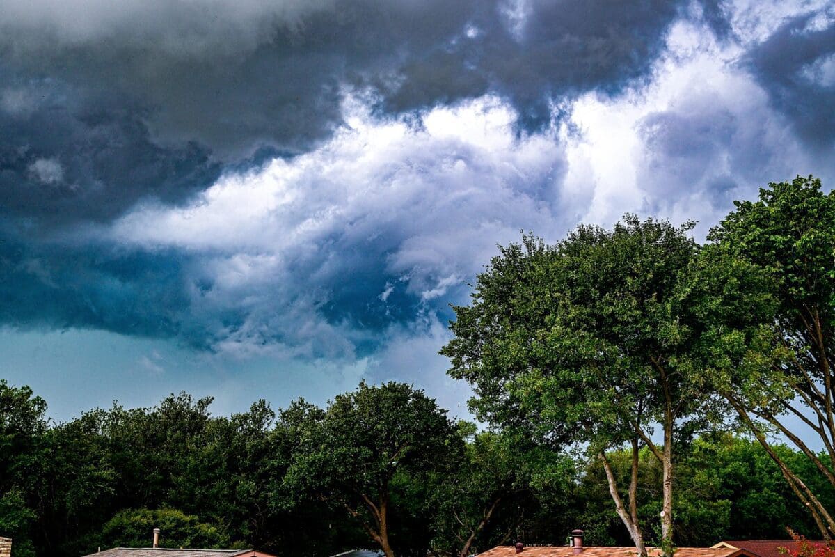 trees, garland, sky, clouds, unsettled, rain, storms, thunderstorms, windy, outdoors, weather, nature, texas